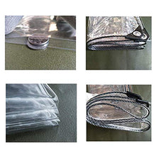MTYLX Telo Multiuso per Esterni, Telo in Pvc Trasparente Trasparente con Occhielli per Auto da Campeio 400G / M²,un,3X5M
