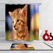 LIYAN Combinazione Bagno. Immagini Chiare E Colori Vivaci Rendono Il Tuo Bagno Pieno di Vita. Accessori da Bagno. Gatto Carino.