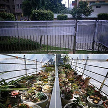 C-J-H Rain Bird Pellicola Isolante Trasparente a Prova di Esplosione deposito Attrezzi Parabrezza PE agritessuto succosa Telo tettoia Giardino,3×4m