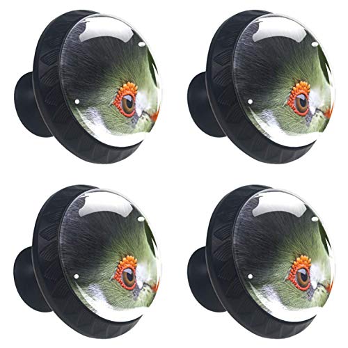 Set di 4 maniglie rotonde per armadio da cucina, credenza, cassettiera, cassettiera, con viti, per cucina, comò, armadietto, bagno, armadio