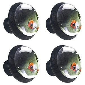 Set di 4 maniglie rotonde per armadio da cucina, credenza, cassettiera, cassettiera, con viti, per cucina, comò, armadietto, bagno, armadio
