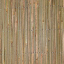 Sol Royal Frangivista frangivento di bambú per Giardino & balconi SolVision B89 100x300 cm Protezione Naturale Privacy