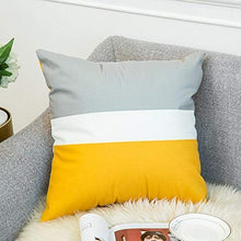 Houlipeng Boston terriermint Boston Terriers Cute Dog Best Dog Cushion Cover, Home Decoration Sofa Waist Throw Pillow Case Cotton Cushion Cover 18 X 18 inch