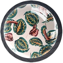 Retro foglie botaniche Pomelli per Porta Set di 4 Pomelli per Mobili Manopole per Cassetti Cucina Armadio Vetro