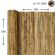 Sol Royal Frangivista e Frangivento in Bambú 150x250cm (AxL) SolVision B38 Stuoia in Canne Spesse di Bamboo Premium - Arella Naturale per Giardini e Balconi - Schermo Privacy Naturale