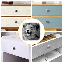 Leone in bianco e nero 4 PCS Pomelli per Porta, Pomolo per Mobile, Pomelli per Mobili con Viti, Maniglia per Armadietto, Pomelli per Porta, Pomelli per Cassetti per Porta, Armadio, Cassetto e Credenza