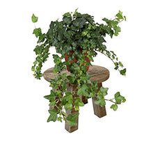 INDA-Exclusiv - Panca per fiori, in legno, Ø 25 cm, altezza 20 cm