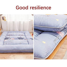 Sleeping Tatami - Materasso futon Tatami pieghevole, morbido, spesso, per studenti giapponesi 0.9 * 2.0m C