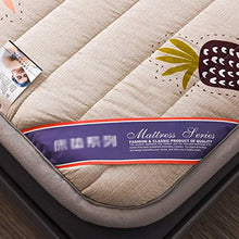 YLCJ Materassi Futon Spessi 5 cm, Tappetino Giapponese Tradizionale Shiki Futon Tatami per Mamma papà Marito Moglie, C, 180 * 200 cm