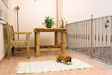Catral 52010014 - Rotolo di Rete a Maglia Quadrata, 0,2 x 500 x 100 cm, Colore: Bianco
