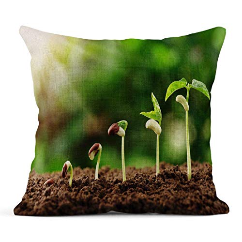 Kinhevao Cuscino da tiro Crescita Verde Agricoltura Pianta Semina Crescita Passaggio in Giardino e Semi di Luce Solare Coltivazione di Lino Cuscino Cuscino Decorativo per la casa