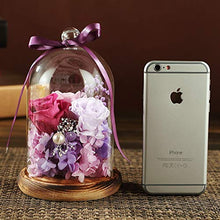 QYMX Eternal Flower ， Real Rose in Glass Conservato Eternal Flower Valentine Speciale Regalo Romantico Festa di Compleanno Decorazione Domestica
