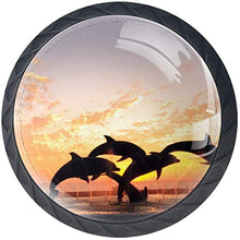 Statua del delfino davanti al tramonto Pomelli per Porta Set di 4 Pomelli per Mobili Manopole per Cassetti Cucina Armadio Vetro