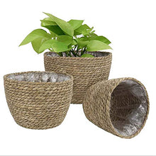 Duless - Cestino per fiori in paglia verde, per piante fresche in rattan e bambù, decorazione