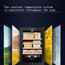 BLLXMX Humidor Armadio, Struttura Autoportante con Porta in Vetro, Controllo Dell'umidità 60% -80% 11-22 Gradi di Controllo della Temperatura