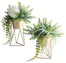 ShiSyan. Metallo Impianto Allestimento Stand casa Materiali Flower Pot Cerimonia Nuziale del Supporto Venue Decorazione Floreale Rack Stand Oro Plant (Dimensioni: 12,5 × 25 × 14 Centimetri)