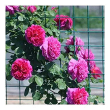 Rotolo Di Rete Per Recinzione, Verde Rivestimento In Vinile Rete Metallica Saldata Maglia 3x3 Cm Diametro Del Filo Di 2,0 Mm Per Uso Domestico, Recinzione Del Giardino, Divisore ( Size : 1x18m )