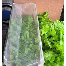 BYWWANG (2X10m Rete da Giardino zanzariera per Insetti può Proteggere Piante da Frutta e Verdura Fiori
