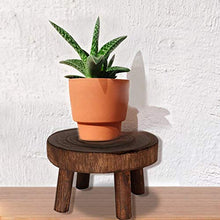 Sgabello per piante in legno, sgabello per fiori, sgabello in legno naturale, supporto decorativo per vasi di fiori, stile rustico, tavolino da caffè, sgabello per fiori, sgabello di base (marrone, L)