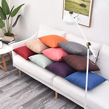 Pannow - Set di 2 federe per cuscino impermeabile per esterni, per interni, esterni, divano, in rattan, 50,8 x 50,8 cm, solo federa