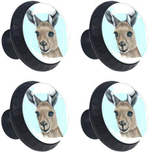 Canguro australiano Pomelli per Porta Set di 4 Pomelli per Mobili Manopole per Cassetti Cucina Armadio Vetro
