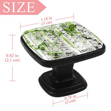 Betulla foresta alberi primavera foresta Pomelli per Porta Set di 4 Pomelli per Mobili Manopole per Cassetti Cucina Armadio Vetro