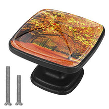 Acero d'autunno 4 PCS Pomelli per Porta, Pomolo per Mobile, Pomelli per Mobili con Viti, Maniglia per Armadietto, Pomelli per Porta, Pomelli per Cassetti per Porta, Armadio, Cassetto e Credenza
