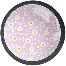 Rosa Daisy Flowers Heart Blue Stripes Pink Pomelli per Porta Set di 4 Pomelli per Mobili Manopole per Cassetti Cucina Armadio Vetro