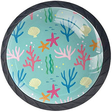 Rosa blu Coral Seaweed Shells Green Pomelli per Porta Set di 4 Pomelli per Mobili Manopole per Cassetti Cucina Armadio Vetro