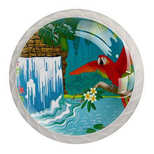 Maniglie per cassetti Manopole per cassetti Manopole rotonde Confezione da 4 per armadietto, cassetti, cassettiere, cassettiere ecc - uccello della cascata