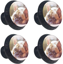 Bulldog francese stanco carino Pomelli per Porta Set di 4 Pomelli per Mobili Manopole per Cassetti Cucina Armadio Vetro