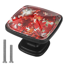Acero d'autunno 4 PCS Pomelli per Porta, Pomolo per Mobile, Pomelli per Mobili con Viti, Maniglia per Armadietto, Pomelli per Porta, Pomelli per Cassetti per Porta, Armadio, Cassetto e Credenza