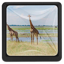 Giraffa Africa 3 PCS Pomelli per Porta, Pomolo per Mobile, Pomelli per Mobili con Viti, Maniglia per Armadietto, Pomelli per Porta, Pomelli per Cassetti per Porta, Armadio, Cassetto e Credenza