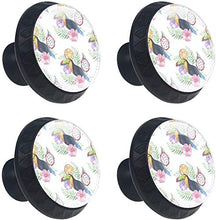 Tucano dell'acquerello Frutta tropicale Dragon Fruit floreale Pomelli per Porta Set di 4 Pomelli per Mobili Manopole per Cassetti Cucina Armadio Vetro