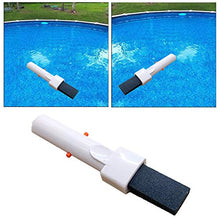 H HILABEE Efficace Pietra Pomice per Piscina con Rimozione della Calce con Superficie a Clip per Depositi di Calcio