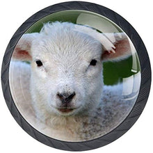Lamb Farm Downy White Pomelli per Porta Set di 4 Pomelli per Mobili Manopole per Cassetti Cucina Armadio Vetro