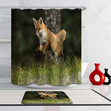 LIYAN Combinazione Bagno. Immagini Chiare E Colori Vivaci Rendono Il Tuo Bagno Pieno di Vita. Accessori da Bagno. Animali Selvaggi. Volpe.