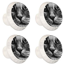 Gattino 4 PCS Pomelli per Porta, Pomolo per Mobile, Pomelli per Mobili con Viti, Maniglia per Armadietto, Pomelli per Porta, Pomelli per Cassetti per Porta, Armadio, Cassetto e Credenza