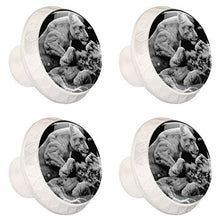 Leone animale 4 PCS Pomelli per Porta, Pomolo per Mobile, Pomelli per Mobili con Viti, Maniglia per Armadietto, Pomelli per Porta, Pomelli per Cassetti per Porta, Armadio, Cassetto e Credenza