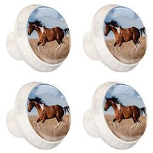 Cavallo marrone 4 PCS Pomelli per Porta, Pomolo per Mobile, Pomelli per Mobili con Viti, Maniglia per Armadietto, Pomelli per Porta, Pomelli per Cassetti per Porta, Armadio, Cassetto e Credenza