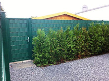Thermoplast - 2 strisce di protezione per finestra, 9,5 cm x 52 m, verde, 19 cm x 10 pezzi, verde