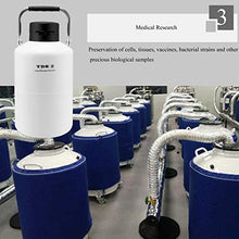 CGOLDENWALL 16L di azoto liquido serbatoio per congelazioni con 3 secchi