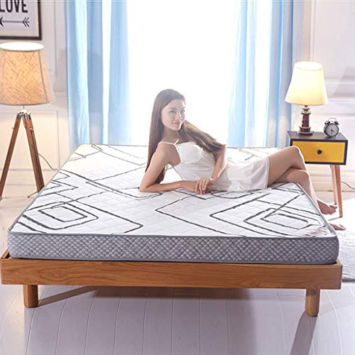HLDBW Addensare Traspirante Tatami Piano Materasso Morbida Durevole futon Sleeping Pads Memoria Cotone Pieghevole Mats ad Alta densità ventilato dormitorio Materasso (Color : F, Size : 100×200×10CM)