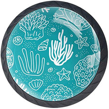 Coral Conch Shell Starfish Blue Water disegnata a mano bianca Pomelli per Porta Set di 4 Pomelli per Mobili Manopole per Cassetti Cucina Armadio Vetro