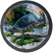 Turtle Swimming Sea Pomelli per Porta Set di 4 Pomelli per Mobili Manopole per Cassetti Cucina Armadio Vetro