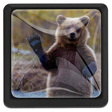 Ciao orso ciao 3 PCS Pomelli per Porta, Pomolo per Mobile, Pomelli per Mobili con Viti, Maniglia per Armadietto, Pomelli per Porta, Pomelli per Cassetti per Porta, Armadio, Cassetto e Credenza
