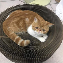 Leyue Divano Letto in Cartone Ondulato Gatto da Letto Divano Letto con catnop per Gattino