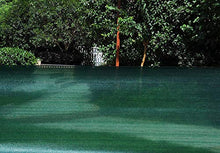 Relaxbx Protezione frangivento Protezione Antivento per Rete Solare Protezione Antivento Recinzione Parabrezza Resistente alle intemperie per Serra, Parco Giochi, Giardino e Balcone, Verde 1 * 30m