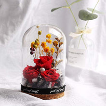 QYMX Eternal Flower ， Copertura in Vetro Floreale Decorare Eternal Rose in Flask Flower Floreale Bella per San Valentino Compleanno Regalo di Nozze di Natale