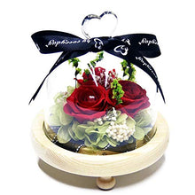 QYMX Regali di Natale ， Copertura in Vetro Everlasting Rose Flower Wife Gift for Lover Valentine's Day Christmas